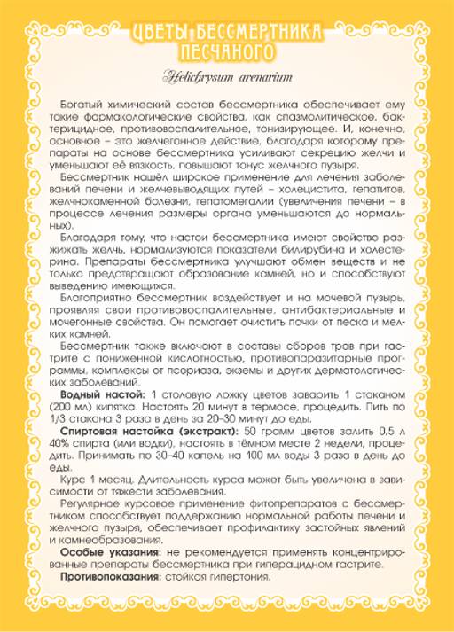 Бессмертник песчаный (цветы) - Мариславна фото 3