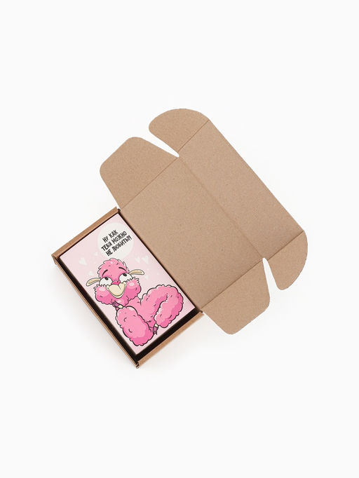 Носки женские KAFTAN Лама, набор 2 пары, размер 36-40