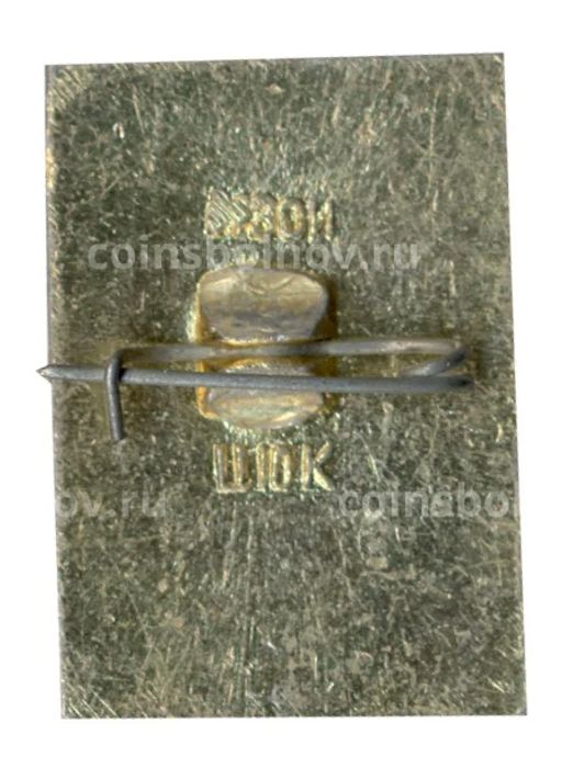 Значок Кострома