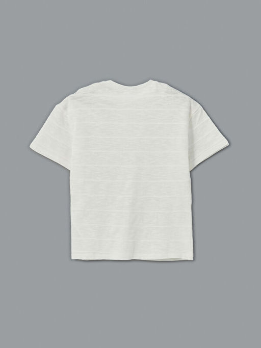 Yakas? D??me Detayl? Erkek ?ocuk Ti??rt