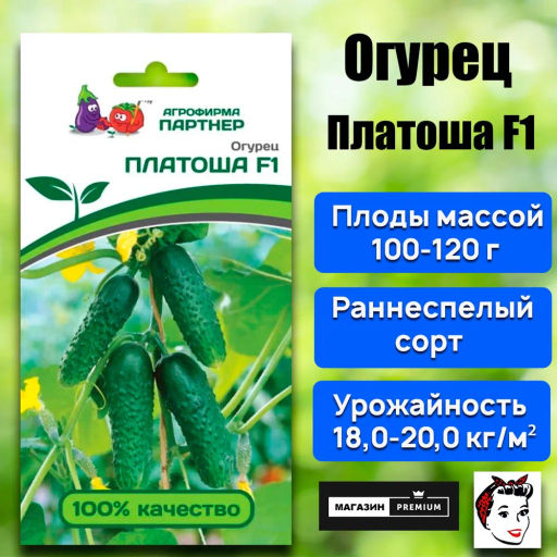 Огурец партенокарпический Платоша - Партнер фото 2
