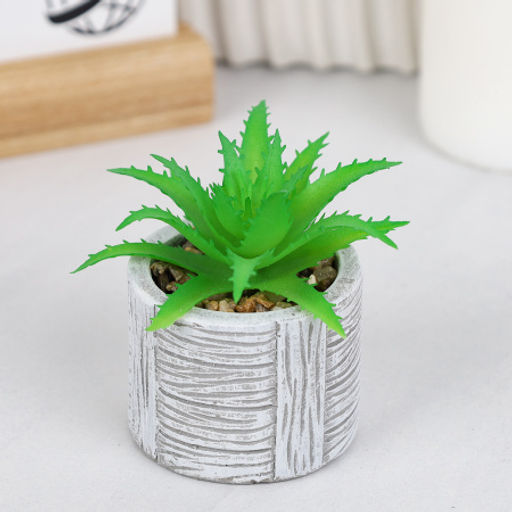 Цветочная композиция Кактус / WER-22 /уп 12/192/ микс - Галеонтрейд фото 24