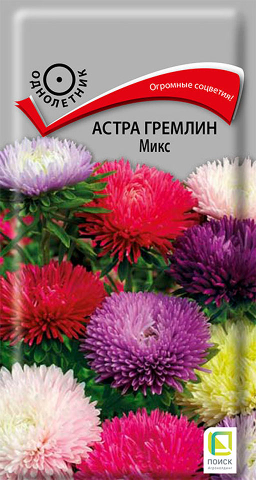 Астра (однолетняя) гремлин Микс (ЦВ) (1) 0,3гр. - Поиск фото 2