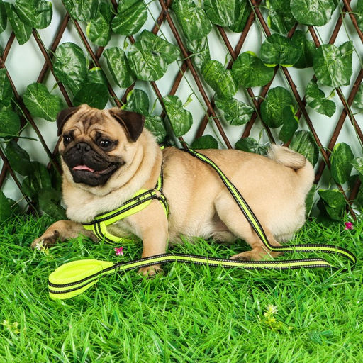 Комплект амуниции светоотражающий с мягкими шлейкой и ручкой, поводок 120 х 1,5 см, ОШ 35-53 см, жёл - Пижон фото 12