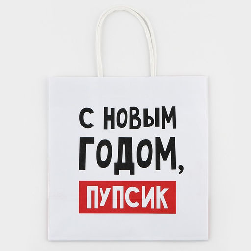 Цена за 2 шт. Пакет подарочный новогодний «С Новым годом, пупсик», 22×22×11 см