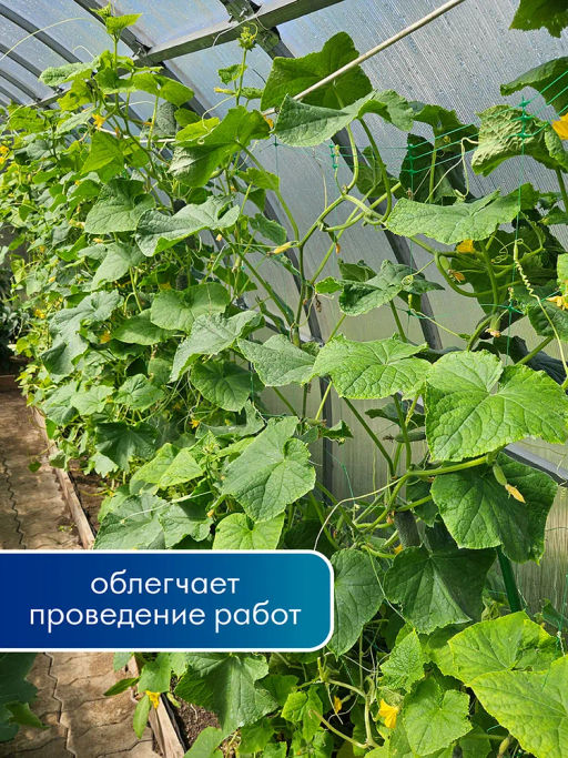 Цена за 2 шт. Сетка шпалерная для огурцов 2*5м Ф-190/2/5 (Лесной зеленый) - Протэкт-регион фото 6