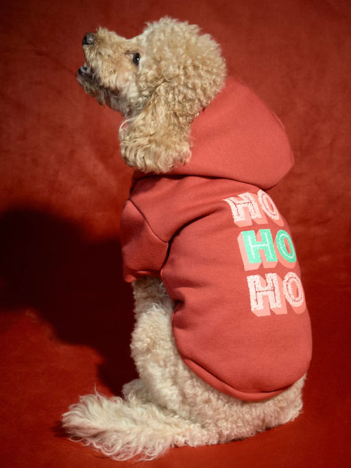 Худи для питомца с принтом / Zarina