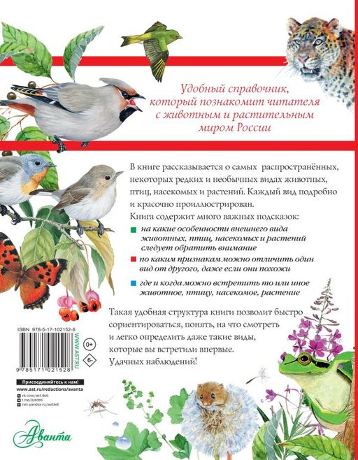 Большой определитель птиц, зверей, насекомых и растений России  фото 3