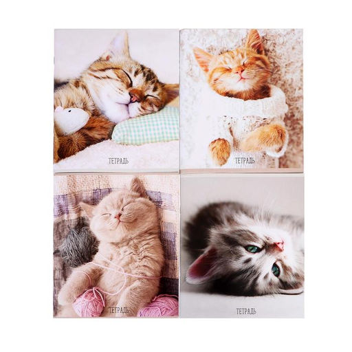 Цена за 5 шт. Тетрадь 96 листов в клетку Calligrata «Котики», обложка мелованный картон, блок офсет, МИКС