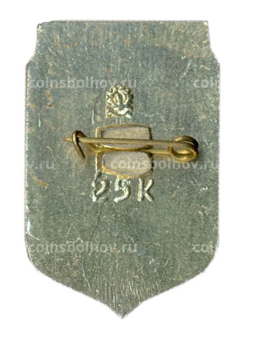 Значок Запорожье