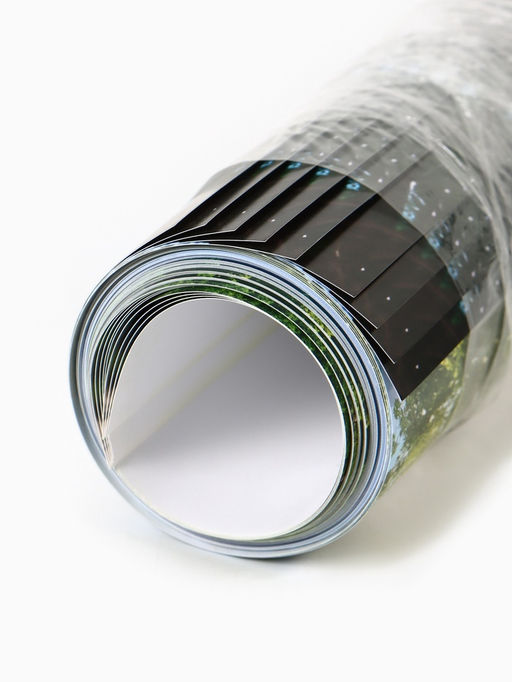 Цена за 10 шт. Календарь настенный 2026 «Природа», А1