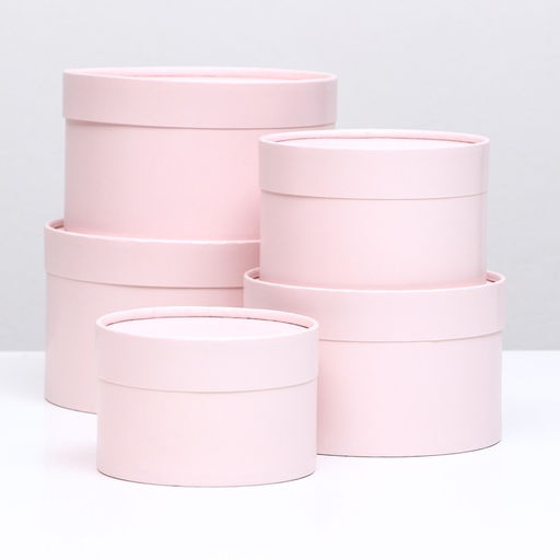 Набор шляпных коробок 5 в 1,Пастельный 20 х 12,18 х 11,16 х 10,14 х 9,13 х 8,5 см - Simaland фото 5