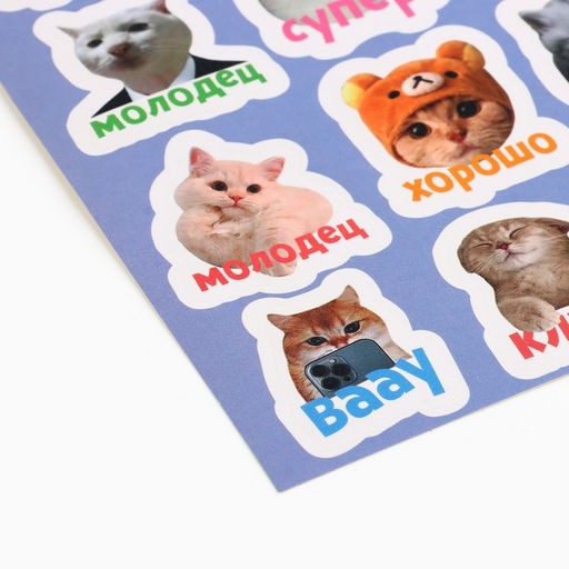 Цена за 5 шт. Бумажные наклейки оценки «Коты», 11 х 18 см