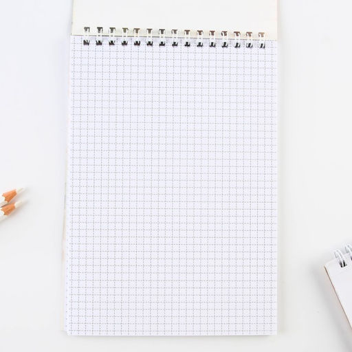 Цена за 2 шт. Блокнот, формат А5, 40 л., картонная обложка мягкая «Герб России»