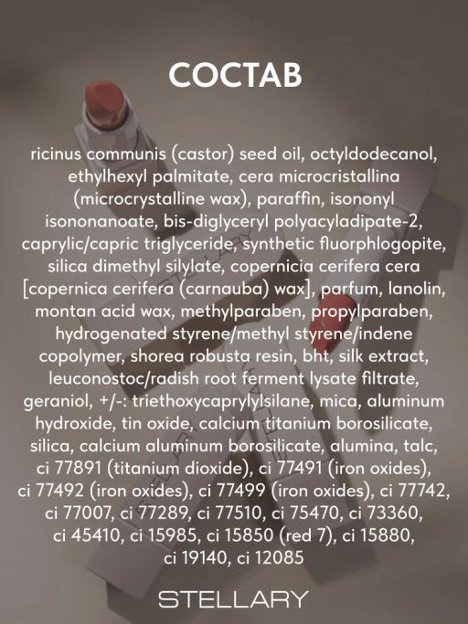 Stellary Помада для губ Устойчивая RICH NUDE тон 12 toffe cream  фото 7