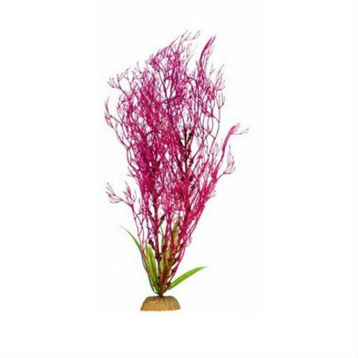 Растение Plant 031 Горгонария сирен. 10 см PLANT 031/10