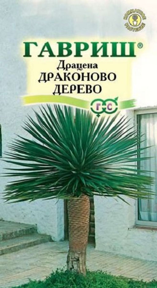 Драцена Драконово Дерево 3шт. (Гавриш)