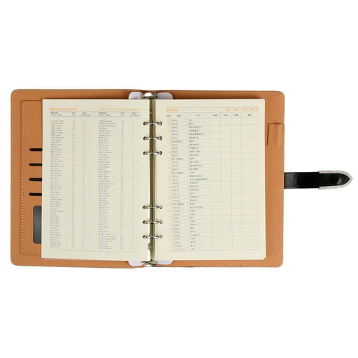 Органайзер на кольцах А5, 90 листов в линейку, с хлястиком, МИКС - Calligrata фото 12