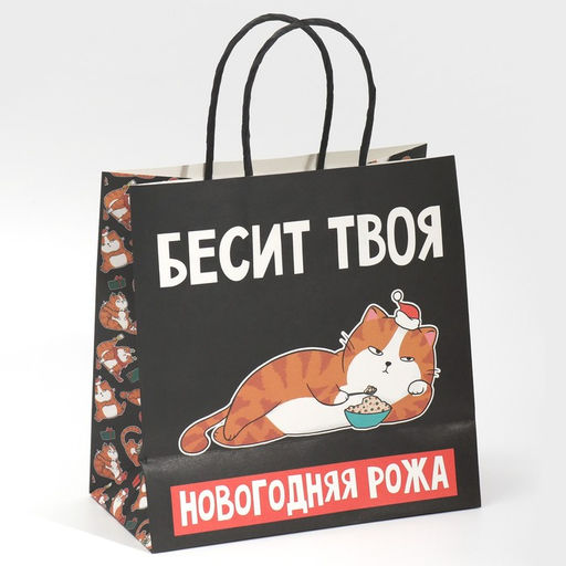 Пакет подарочный новогодний «Рожа», 22 х 22 х 11 см