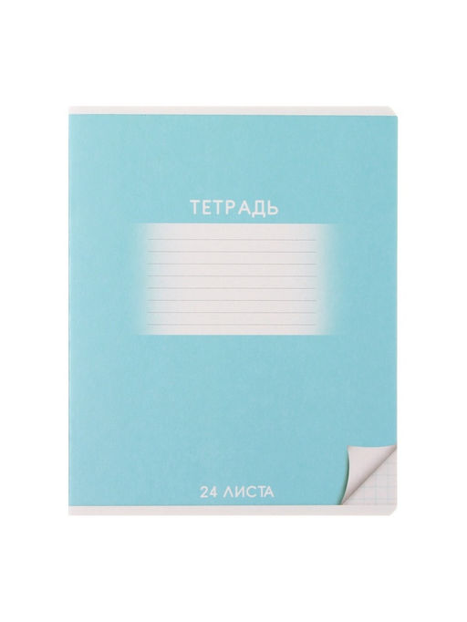 Комплект тетрадей из 10 штук, 24 листа в клетку Calligrata «Школьная», обложка мелованный картон, ВД-лак, блок офсет, 5 видов по 2 штуки