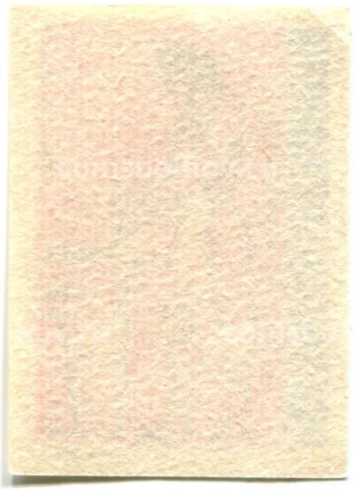 Этикетка спичечная Родословная спички № 9 фабрика Красная звезда