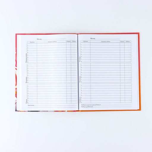 Дневник школьный для 1-11 класса, в твердой обложке, 40 л. «Аниме. Девочка»