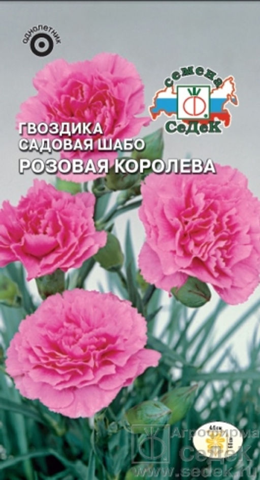 Гвоздика Шабо Розовая королева 0,1г (СеДеК)