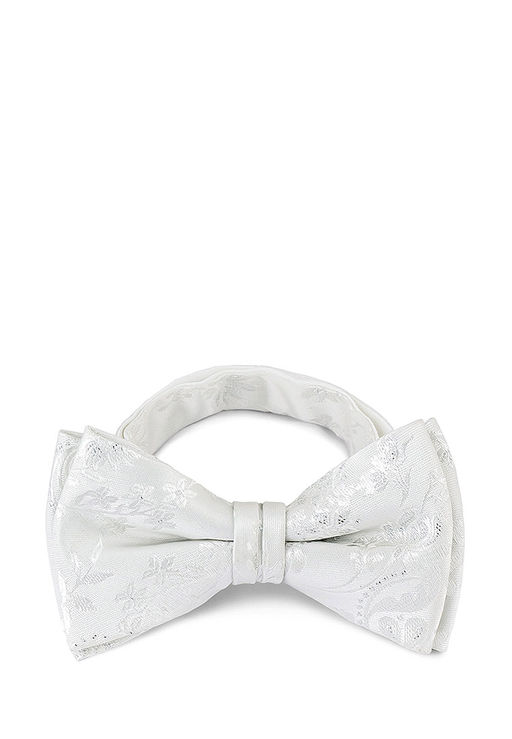 Галстук-бабочка мужской CASINO Casino-poly-wedding 512.1.569