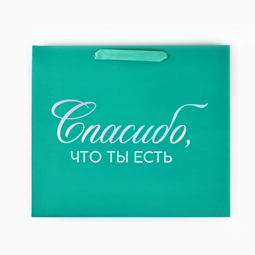Пакет подарочный «Спасибо, что ты есть», голография, M 30×9×26 см