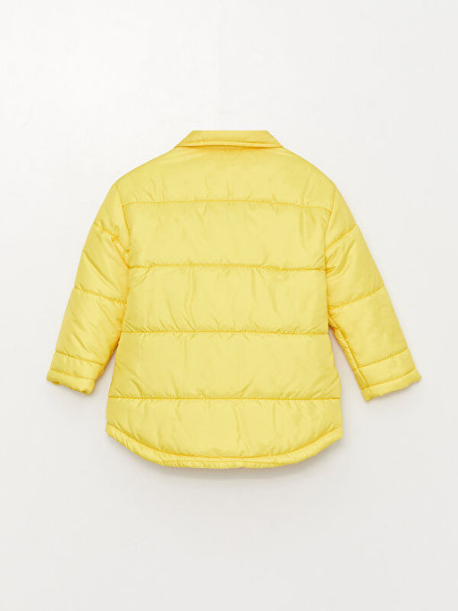 Polo Yaka Kendinden Desenli Erkek Bebek Mont