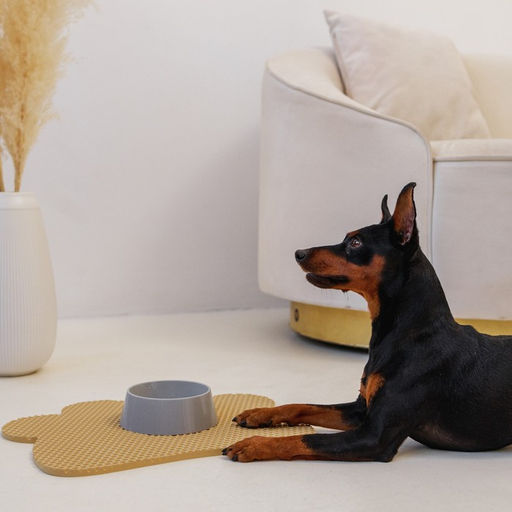 Коврик под миску и лоток Лапка, бежевый, 33,3х42,5 см - Пушистое счастье фото 3