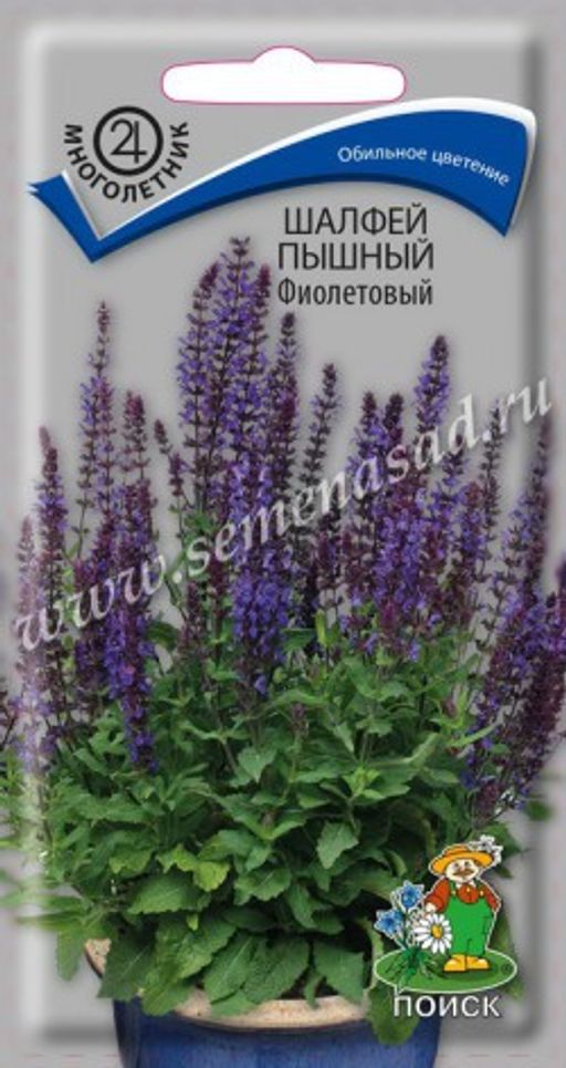 Шалфей (дубравный) пышный Фиолетовый (ЦВ) ("М) 0,1 гр