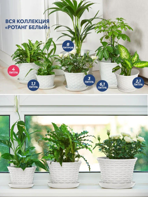 Кашпо круглое Ротанг 4,0 л с поддоном белый 364006 /Виолет/  фото 4