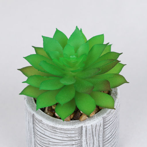 Цветочная композиция Кактус / WER-22 /уп 12/192/ микс - Галеонтрейд фото 23