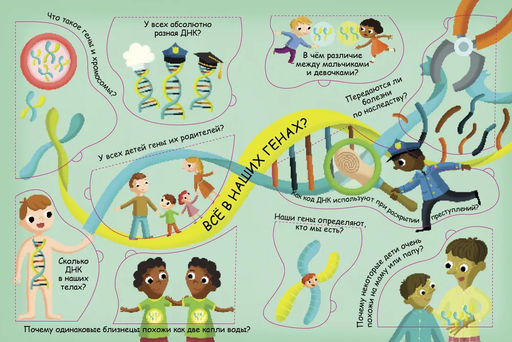 Волшебные окошки. Откуда берутся дети? - Робинс фото 6