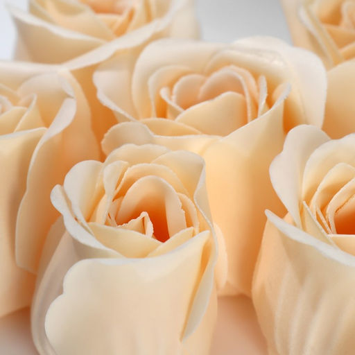 Подарочный набор «8 марта», ежедневник А5, 80 листов и мыльные лепестки