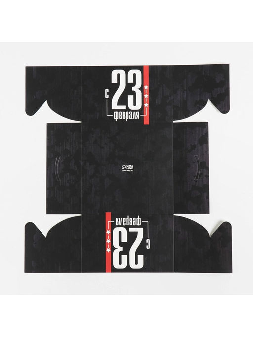 Цена за 5 шт. Коробка для капкейков, кондитерская упаковка с пластиковой крышкой, 4 ячейки «23 февраля», 16×16×10 см