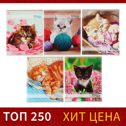 Цена за 5 шт. Тетрадь 36 листов в клетку Calligrata Котята, обложка мелованный картон, МИКС