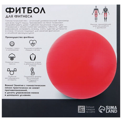 Фитбол ONLYTOP, d=65 см, 900 г, антивзрыв, зелёный