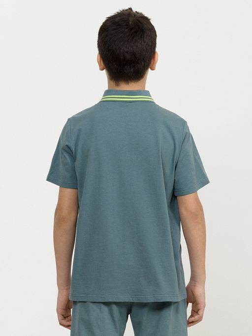 Pelican BFTP4265 футболка для мальчиков  фото 2