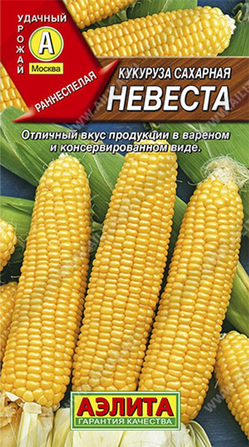 Кукуруза сахарная Невеста (7 г)