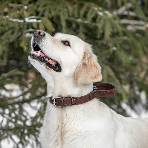 Ошейник кожаный тройной, с ручкой, 57 х 2.5 см, ОШ 35-45 см, коричневый - Пижон фото 8
