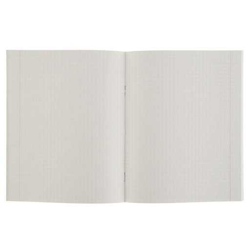 Комплект тетрадей из 5 шт (4 разные + 1 повторяющаяся МИКС), 48 листов, клетка, Россия, обложка мелованная бумага, блок №2, белизна 75% (серые листы) - Calligrata фото 2