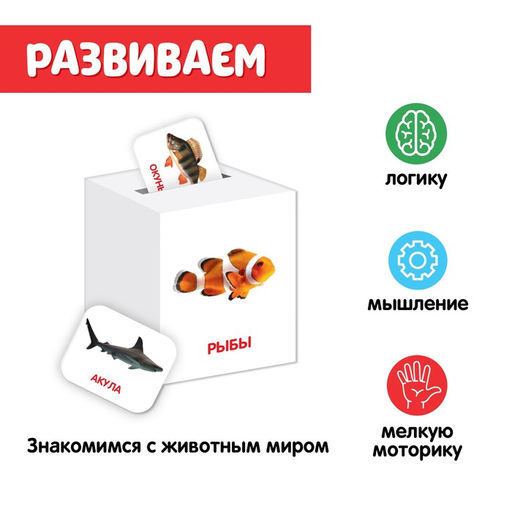 Сортер-копилка Животные по методике Г. Домана - Iq-zabiaka фото 3