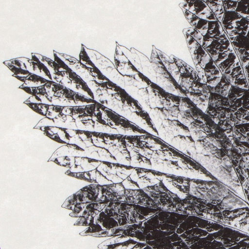 Коврик для ванной «Этель» Natural print, 57×57±2 см, велюр