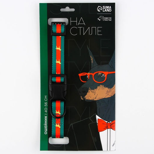 Ошейник На стиле, застёжка - фастекс, 2.5 см, 40-55 см