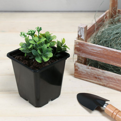 Цена за 24 шт. Горшок для рассады, 500 мл, 9×9×9.5 см, пластик, чёрный