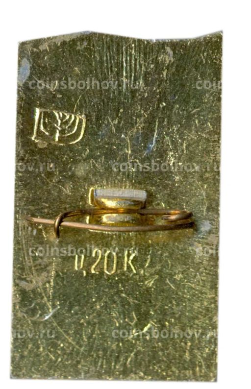 Значок Пермь