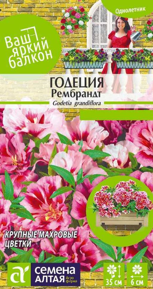 Годеция Рембрандт/Сем Алт/цп 0,2 гр. Ваш яркий балкон