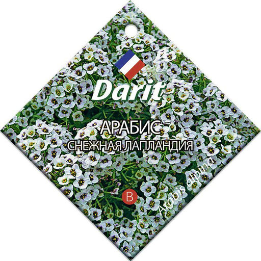 Арабис Снежная Лапландия 0,2г (Дарит)